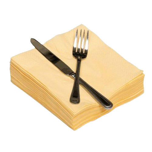 Napkin 2 ply